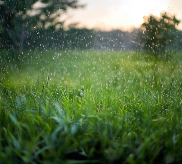 雨水节气，润物无声
