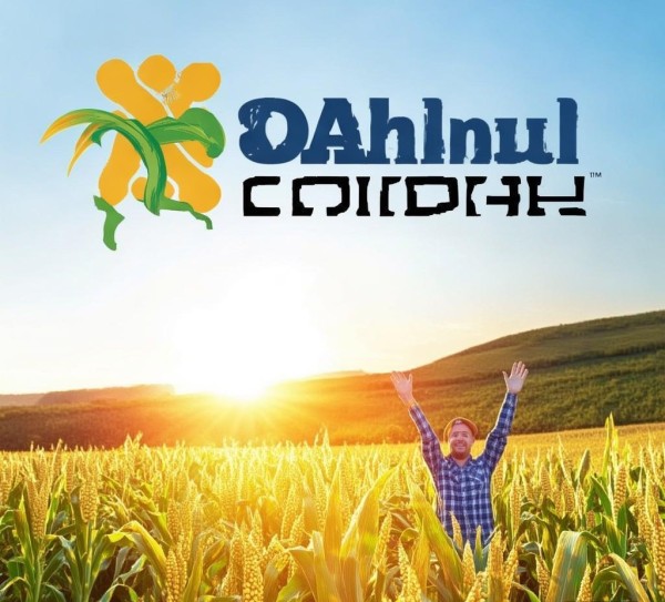 玉米宣传广告公司,助力农业丰收的助力