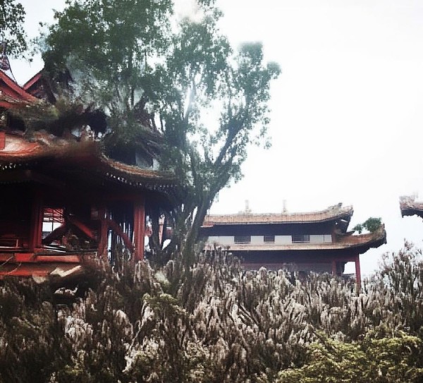 交通拥堵与商业活力的双刃剑解决方案，普陀区的交通管理之道