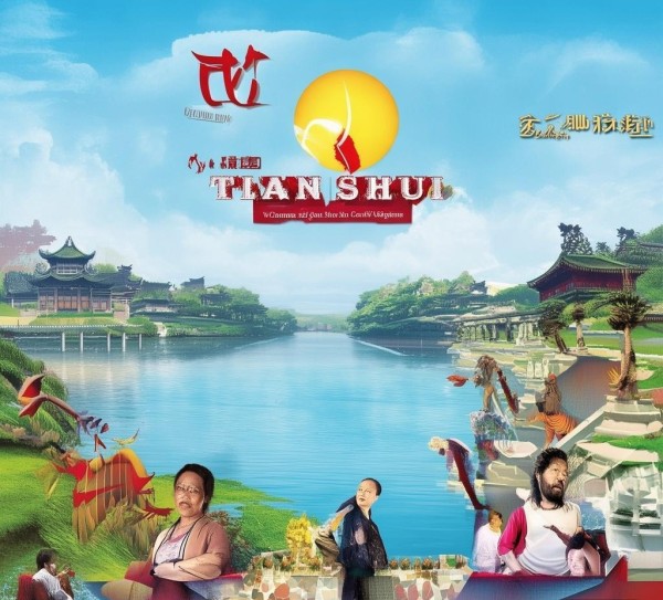 天水宣传广告案例分析，成功案例与文化影响力